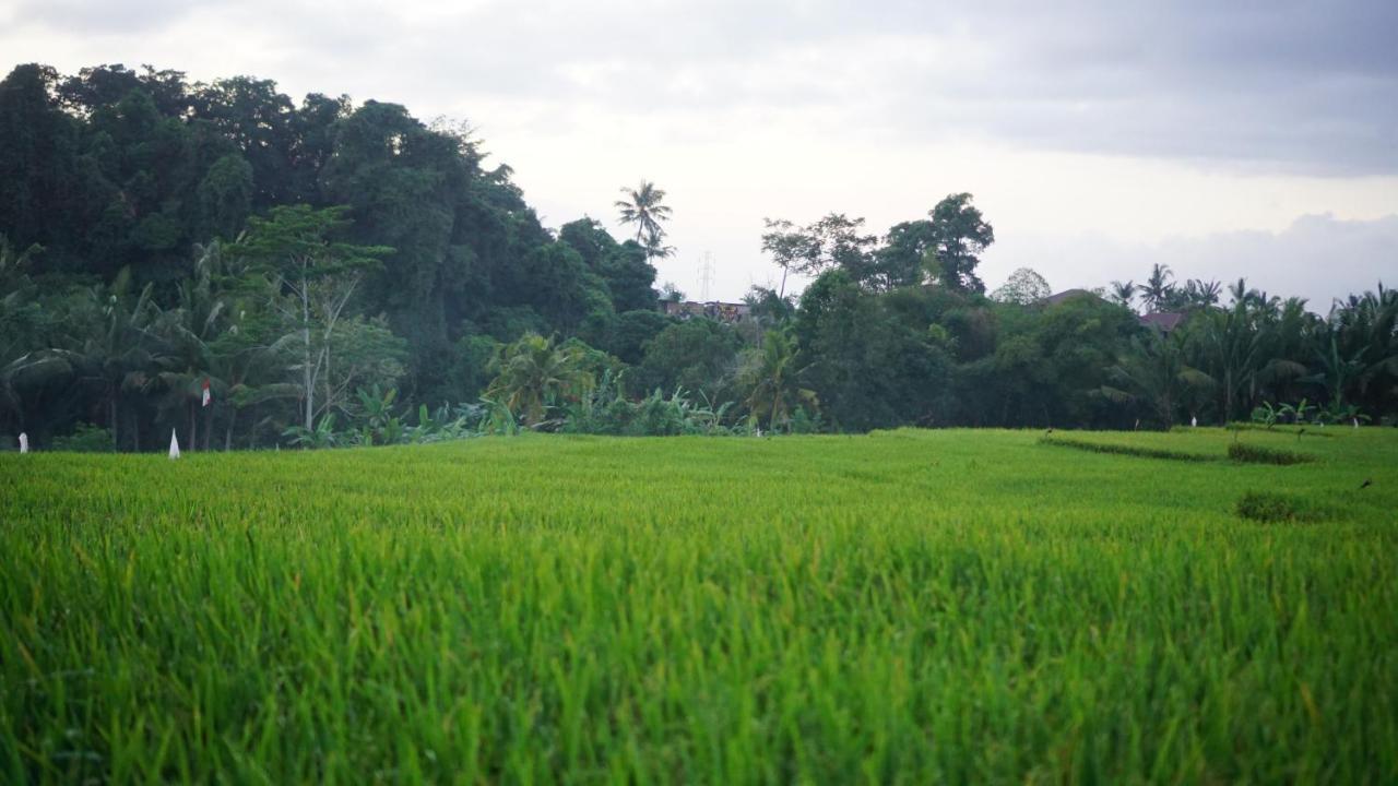 Villa D'alas Ubud